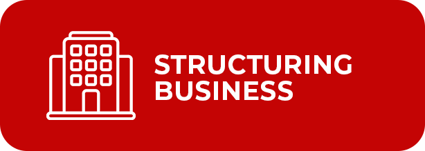 Structuring-Business